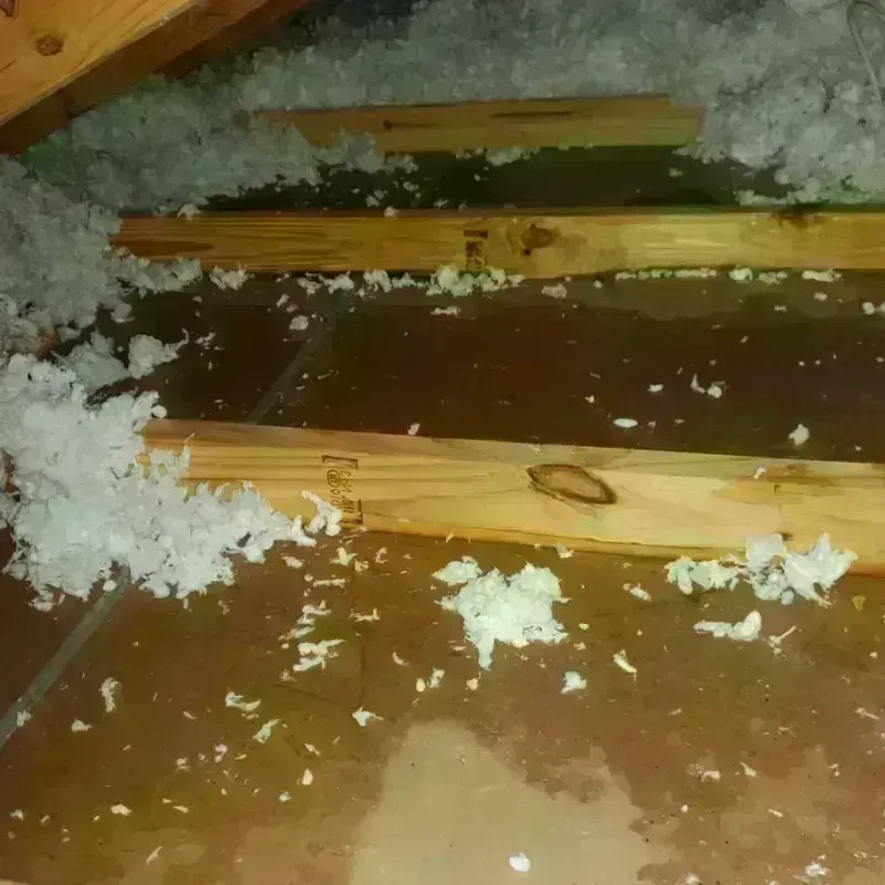 Attic Water Damage in Landmark, AR