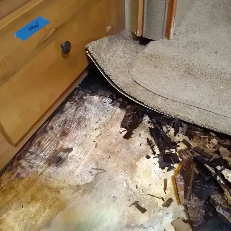 Wood Floor Water Damage in Landmark, AR